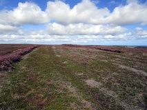 Quakers Causeway RB2
