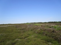 William Howe Rigg - Cross Dyke South