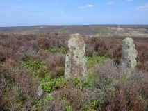 Little Hograh Moor BS1