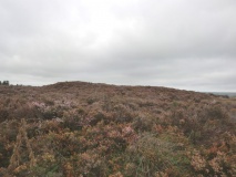 William Howe Mound