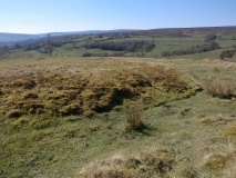 Box Hall Defended Settlement