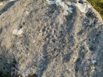 Eller Edge (426)