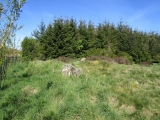 Lord Stones Cairn Circle.