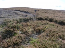 Newton Moor RC6 & RC7