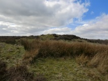 Lealholm Rigg RB1