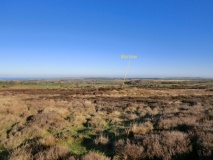 Gerrick Moor RB1