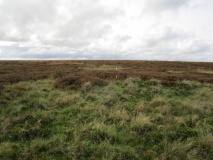 Newton Mulgrave Moor RB4 - 7