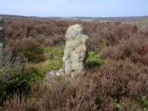 Little Hograh Moor BS1