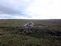 Gisborough Moor RB8