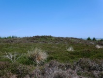 William Howe Mound