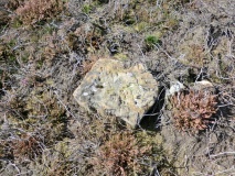 Great Ayton Moor Cairns 2