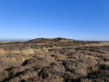 Herd Howe (Gerrick Moor)