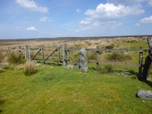 Long Stone (Black Moor)