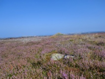 Moorsholm Moor Cup Marked Rock