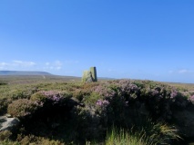 Nelson Stone (Swainby Shooting House)