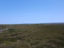 Traverse Moor RB1 