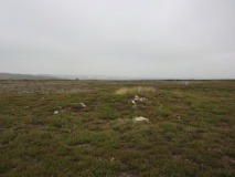 Quakers Causeway RB1
