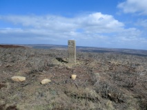 Wether Hill RB1 (Bilsdale West Moor)