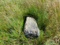 Haredale Head BS1