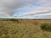 Ugthorpe Moor Pit Alignment and Round Barrows