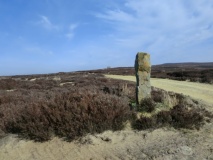 Rye Head BS1