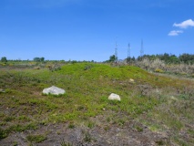 Eston Nab Bowl Barrows