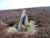 Rye Head BS3