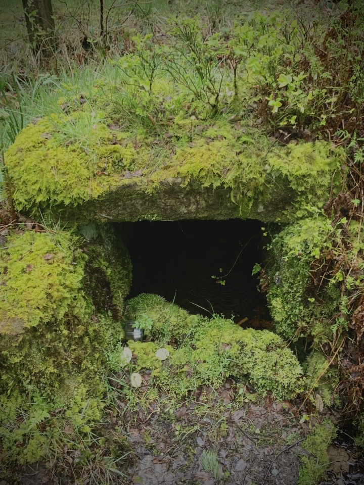 Old Wives' Well