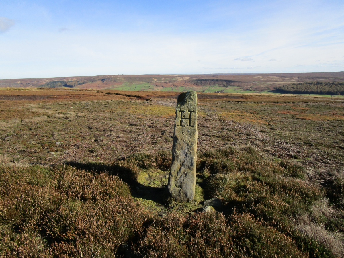 Bransdale Ridge BS1