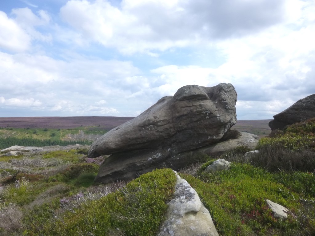 Cheese Stones, Yorkshire (North) | Megalithic Portal