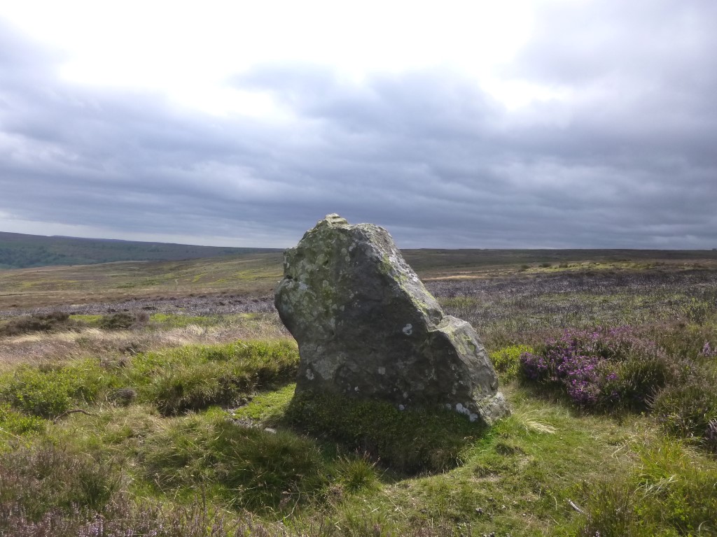 Rokan Stone, Yorkshire (North) | Megalithic Portal