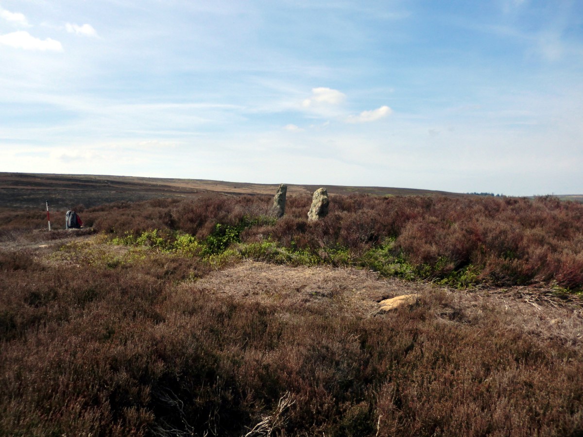 Little Hograh Moor BS1