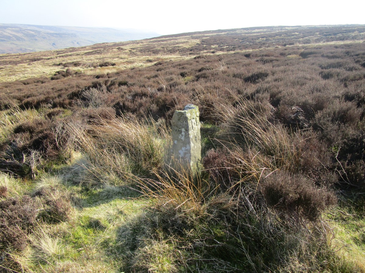 Blakey Ridge North BS4, Yorkshire (North) | Megalithic Portal