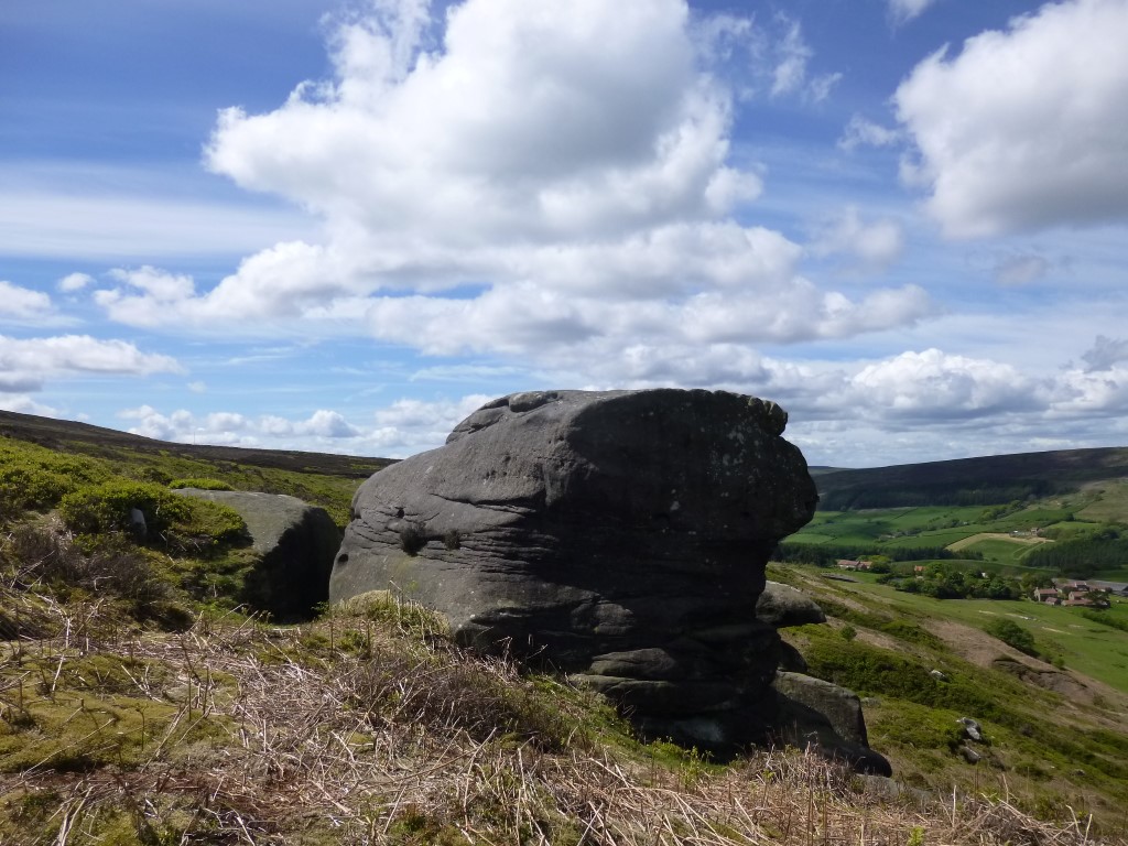Cheshire Stone (Urra Moor)