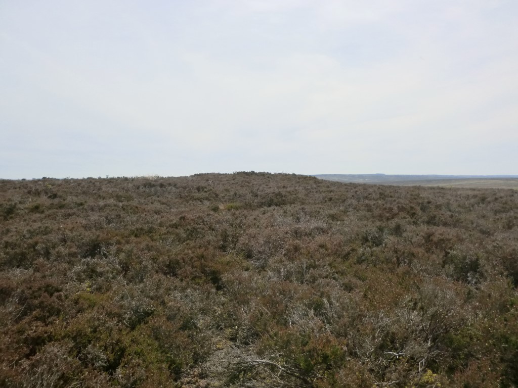 Click for full size image of Pen Howe (Sleights Moor) (PID:244690) Pen Howe (Sleights Moor)