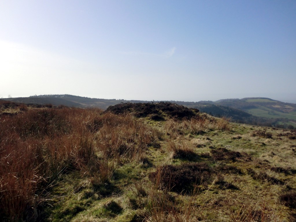 Gallow Hill Tumuli (Cowesby Moor), Yorkshire (North) | Megalithic Portal