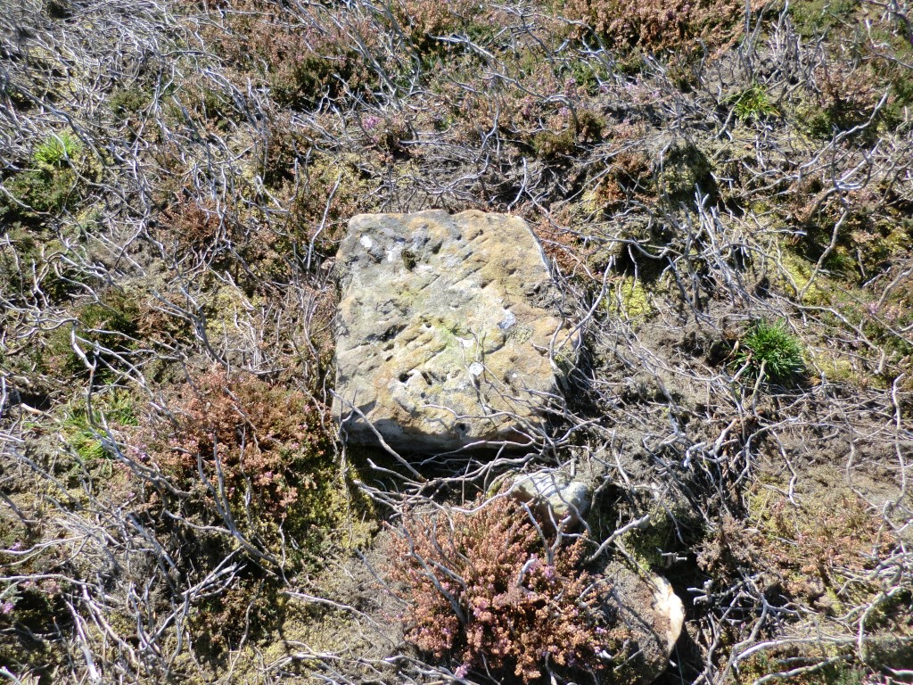Stone 2 at NZ 60026 11932 - Linear marked stone near cairn CC5, another view, September 2019. The markings look older than those on stone 1, whether the marks are made by modern or ancient man I have no idea but I suspect the stone originated from one of the nearby cairns  