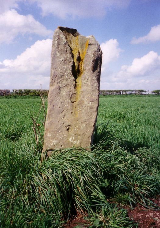 Click for the gallery page to add comments and vote (PID:13723) Wades Stone (North)