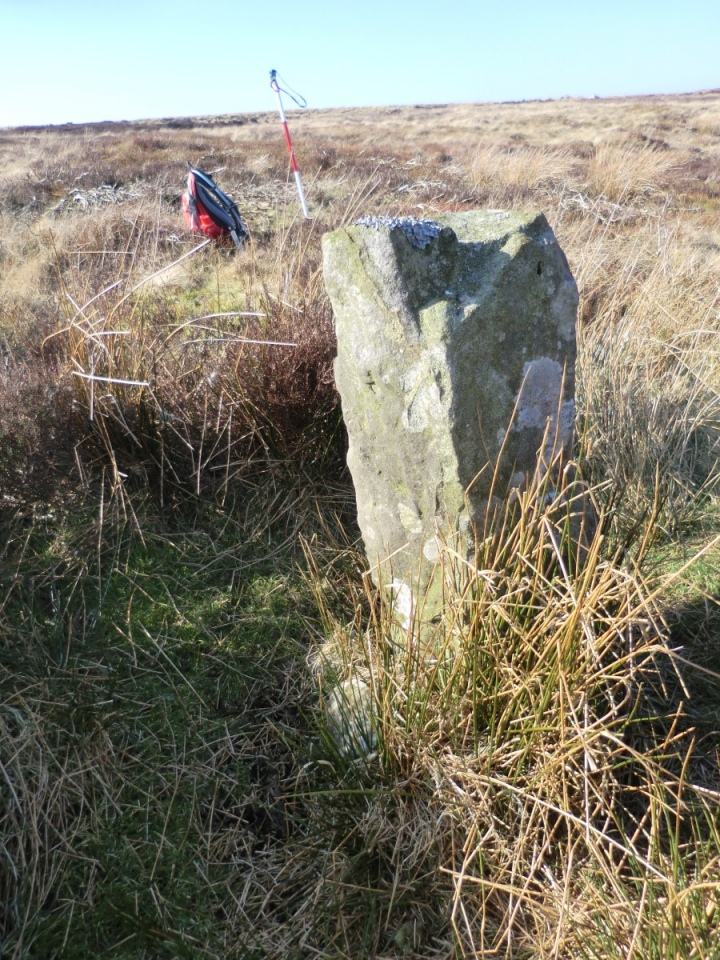 Blakey Ridge North BS4, Yorkshire (North) | Megalithic Portal