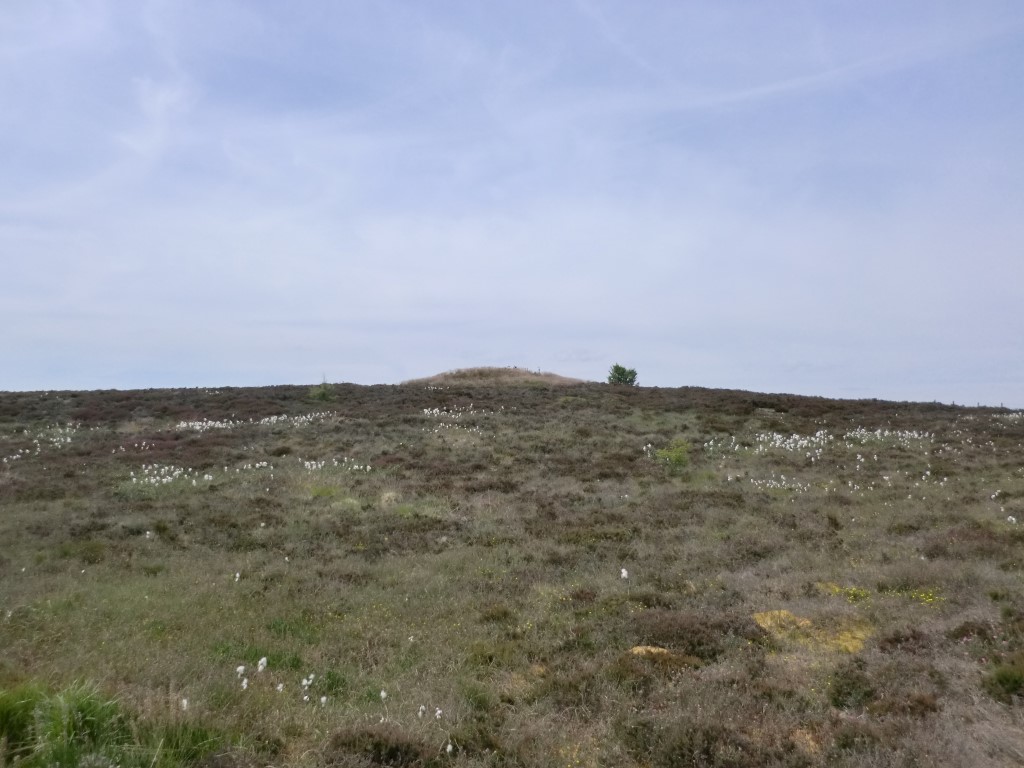 Pen Howe at NZ 85639 03722  - Approaching from the north, June 2022. The white cotton grass as seen in the image is quite prominent in certain areas on the N. Y. Moors at this time of the year and can be quite dense in places, which from a distance makes it look like a white carpet. 