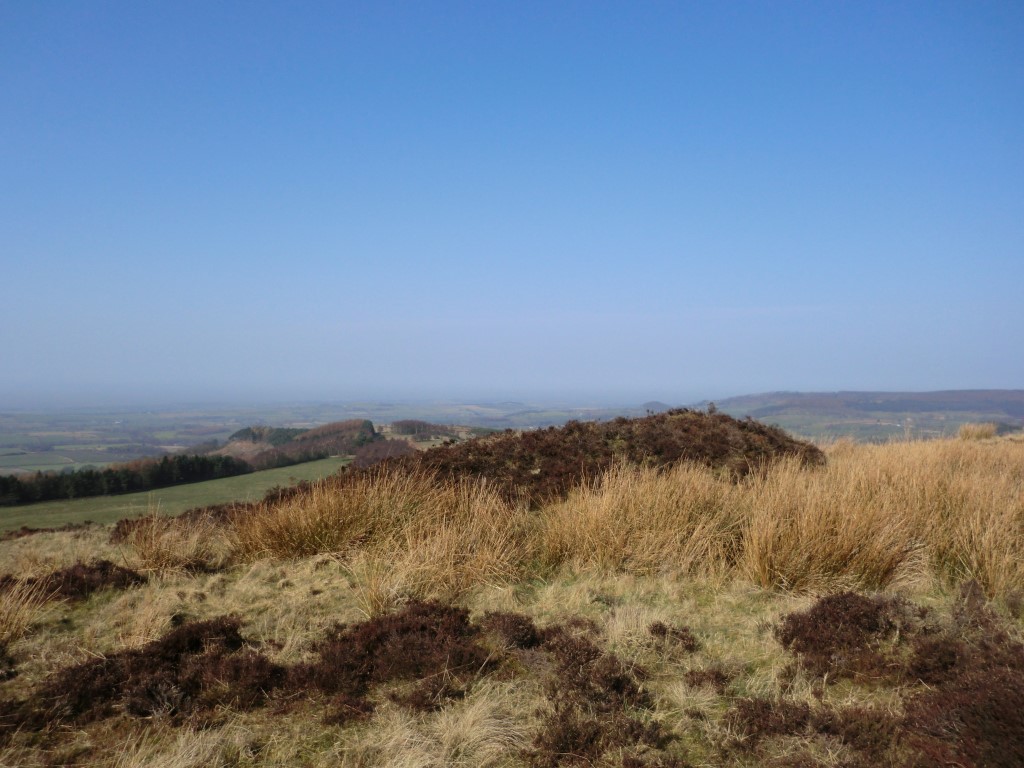 Gallow Hill Tumuli (Cowesby Moor), Yorkshire (North) | Megalithic Portal