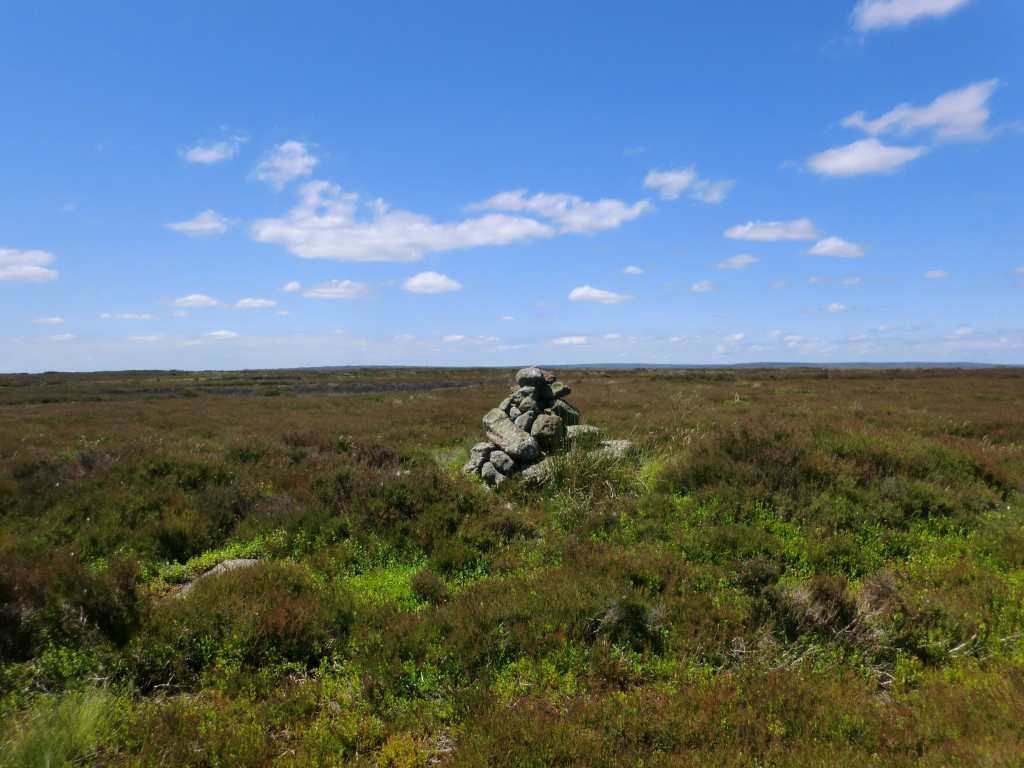 Rudland Rook (Blakey Ridge), Yorkshire (North) | Megalithic Portal