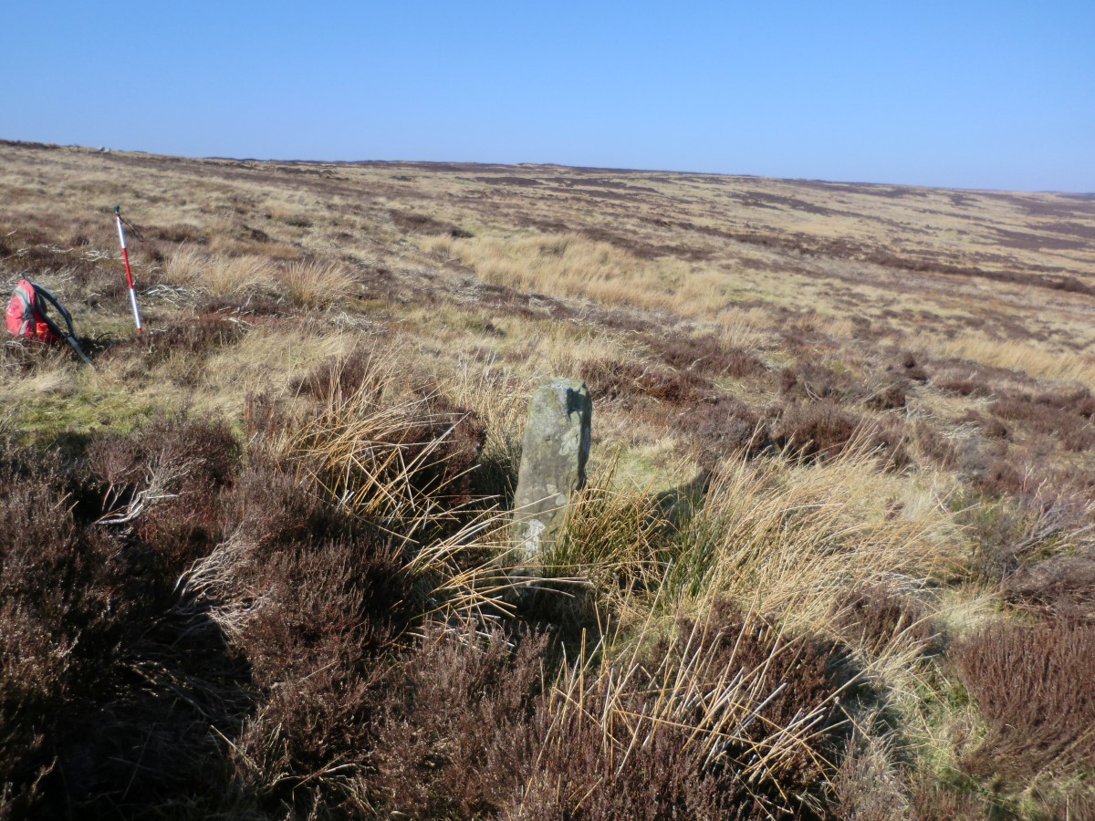 Blakey Ridge North BS4, Yorkshire (North) | Megalithic Portal