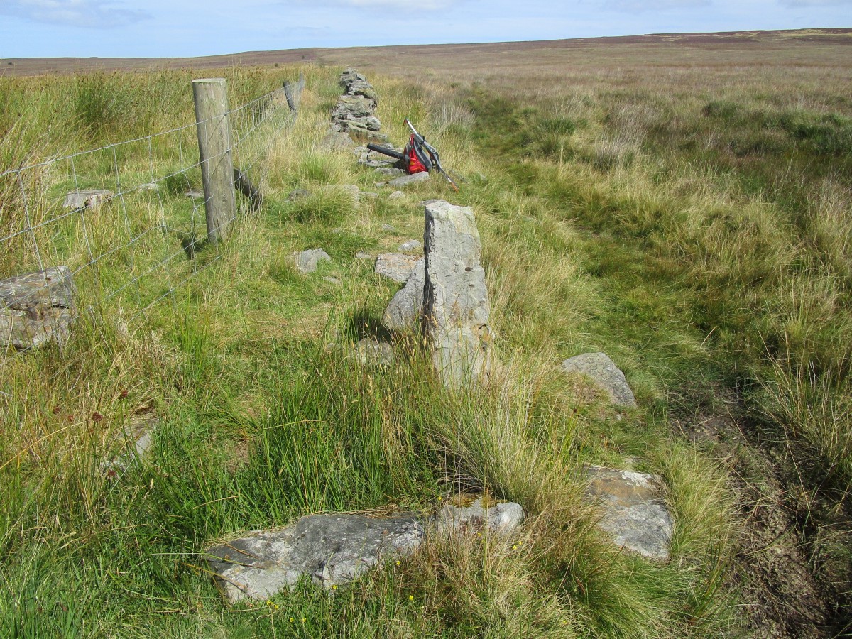 Coldman Hargos Marker Stone : The Megalithic Portal and Megalith Map: