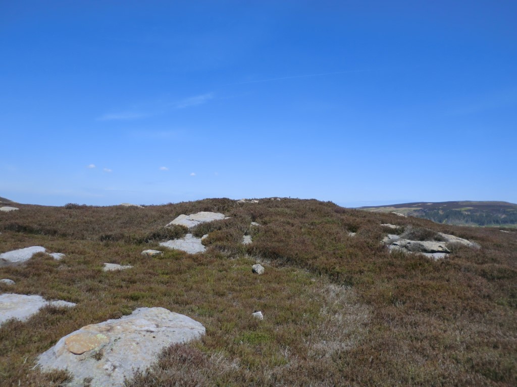 Stone Ruck (Bilsdale West Moor)