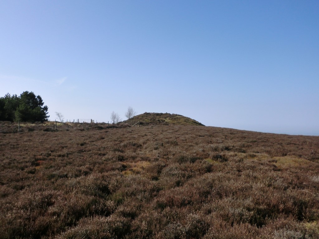 Gallow Hill Tumuli (Cowesby Moor), Yorkshire (North) | Megalithic Portal
