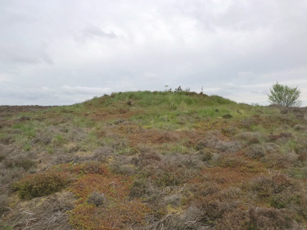 Pen Howe (Sleights Moor) (PID:244693) Pen Howe (Sleights Moor)
