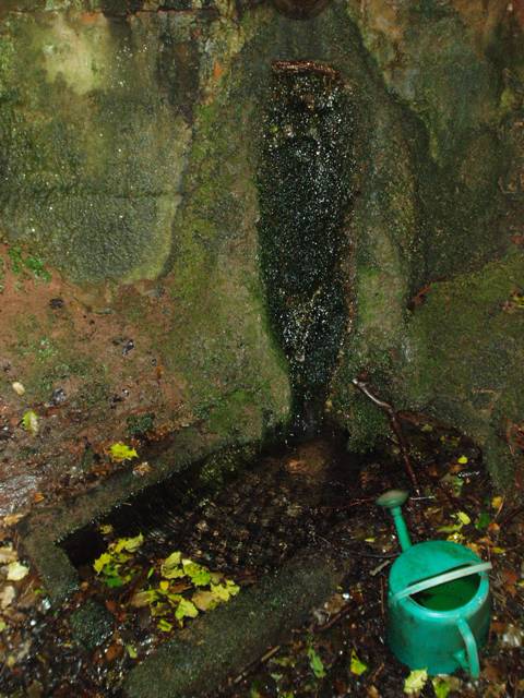 Hart's Well