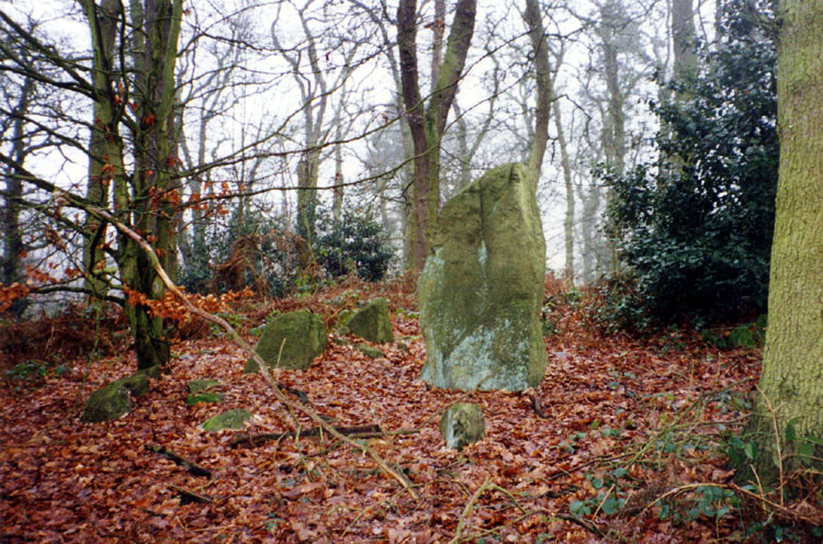 Bradgate Hunt's Hill Stone