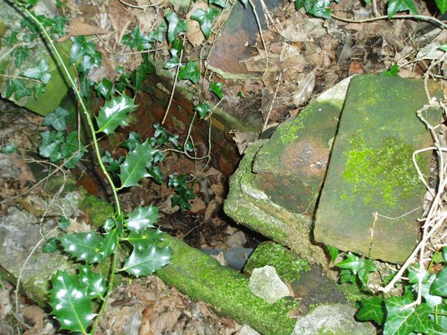 Friar Tuck's Well